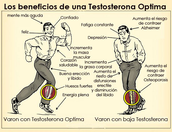 testosterona-salud-hormonas-bioclinica-marbella