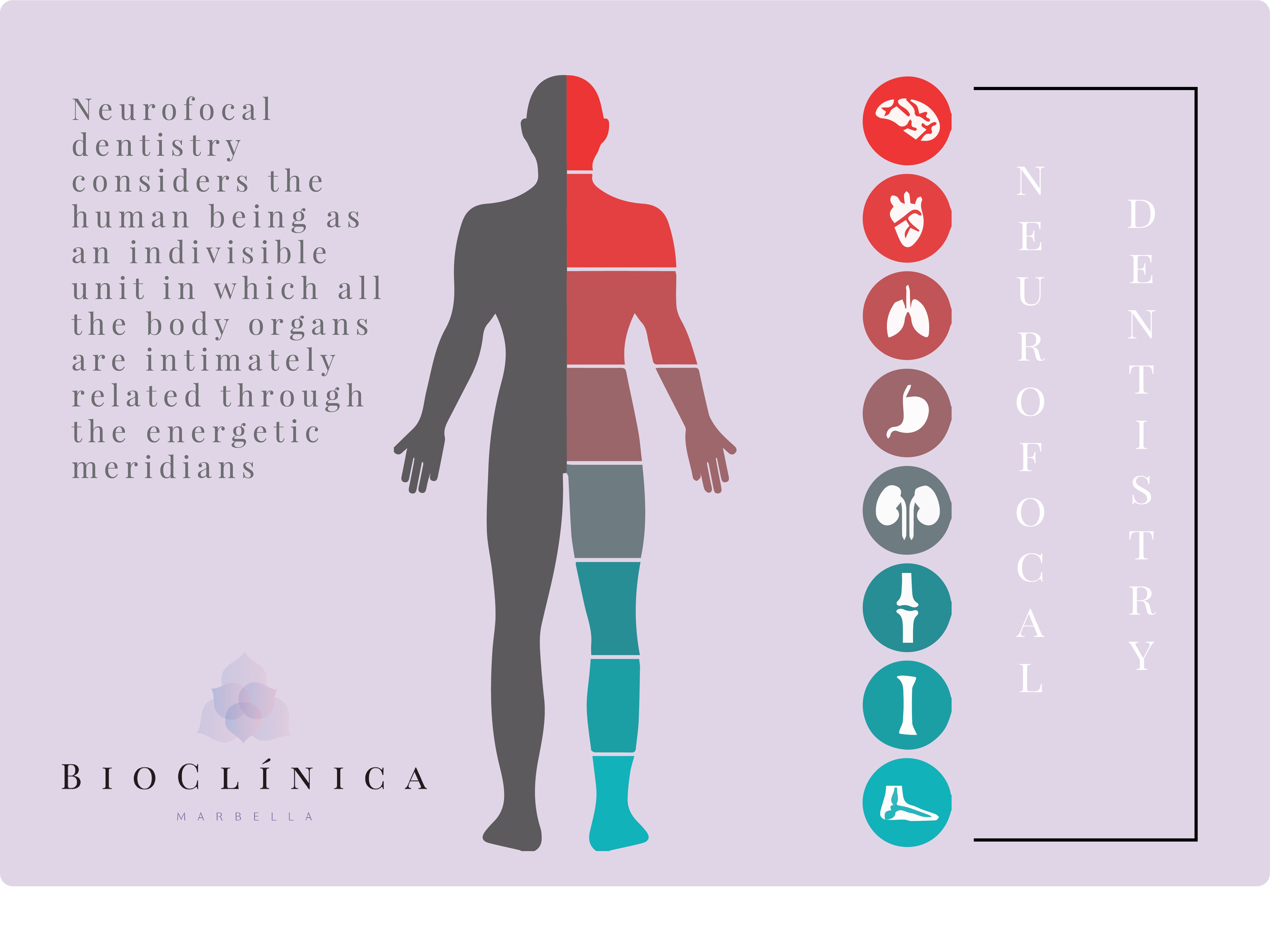 BDCM-dentista-marbella-odontologia-neurofocal-biologica-english